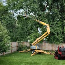 Best Stump Grinding and Removal  in Oregon, WI