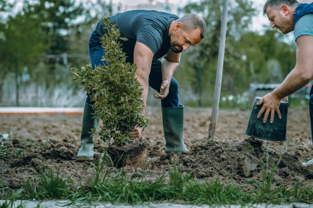 Best Landscape Design and Installation  in Oregon, WI